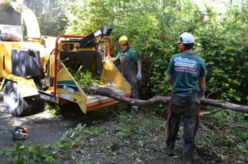 tree services Dagsboro